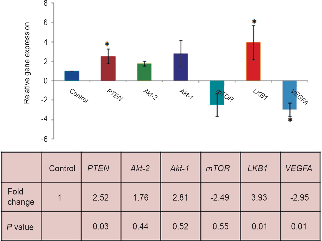 Analysis of relative levels of PTEN, Akt1, Akt2, mTOR, LKB1 and VEGFA gene expression by real time PCR in uterine leiomyoma (UL) and matched myometrium (MM). Data were analyzed by the ΔΔCT method, normalized to β-actin and expressed as fold change from MM set at a value of 1.0. P values were calculated by Student t test.